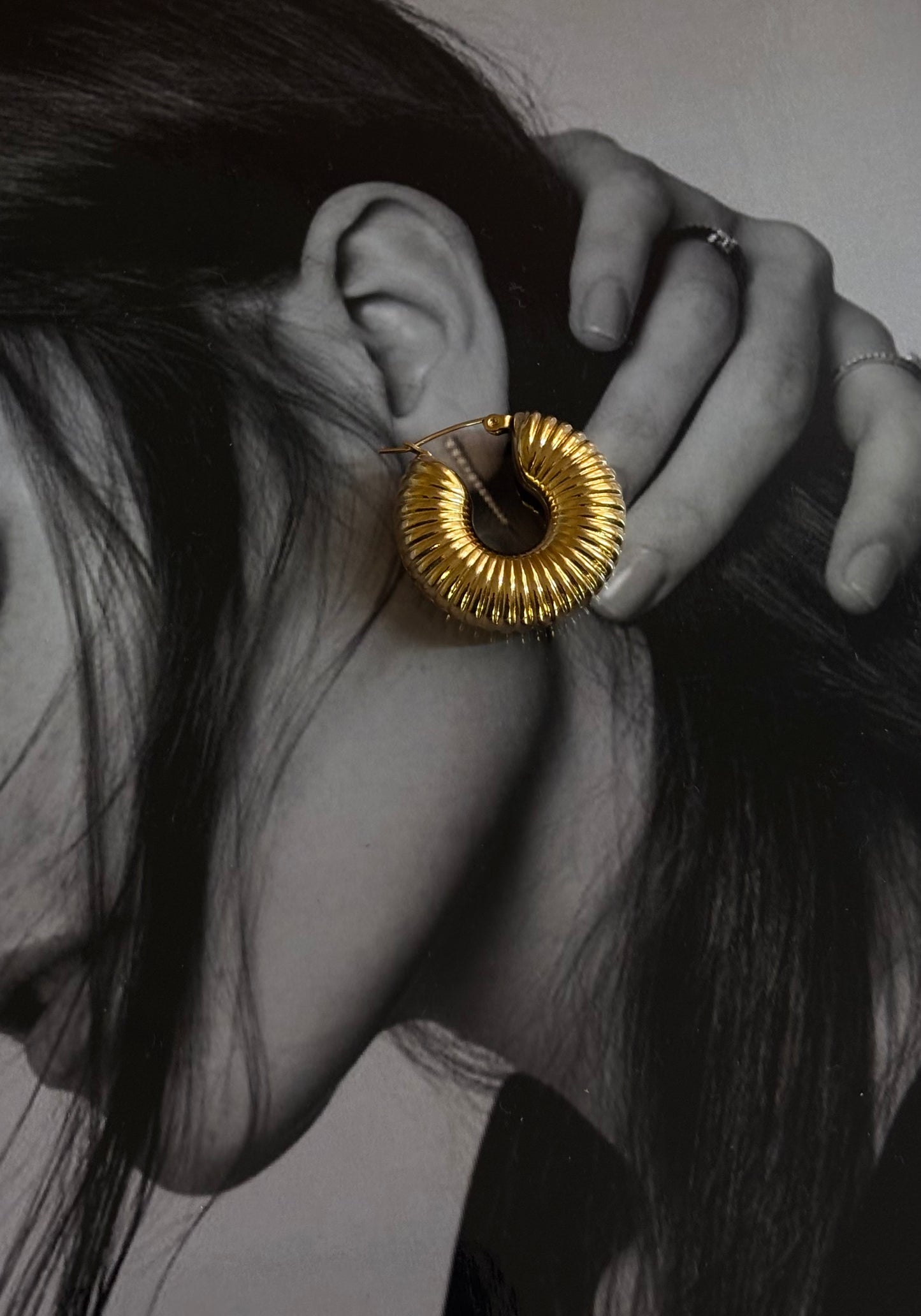 Snail Chunky Hoops