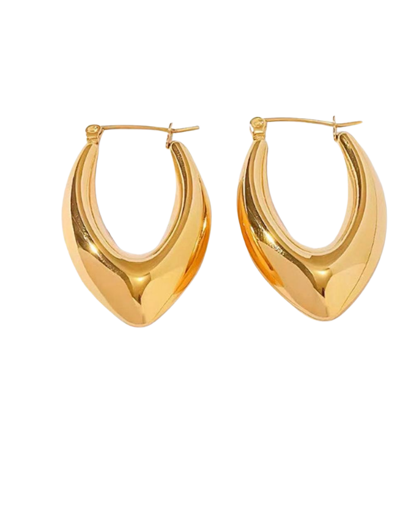 Miley Statement Hoops