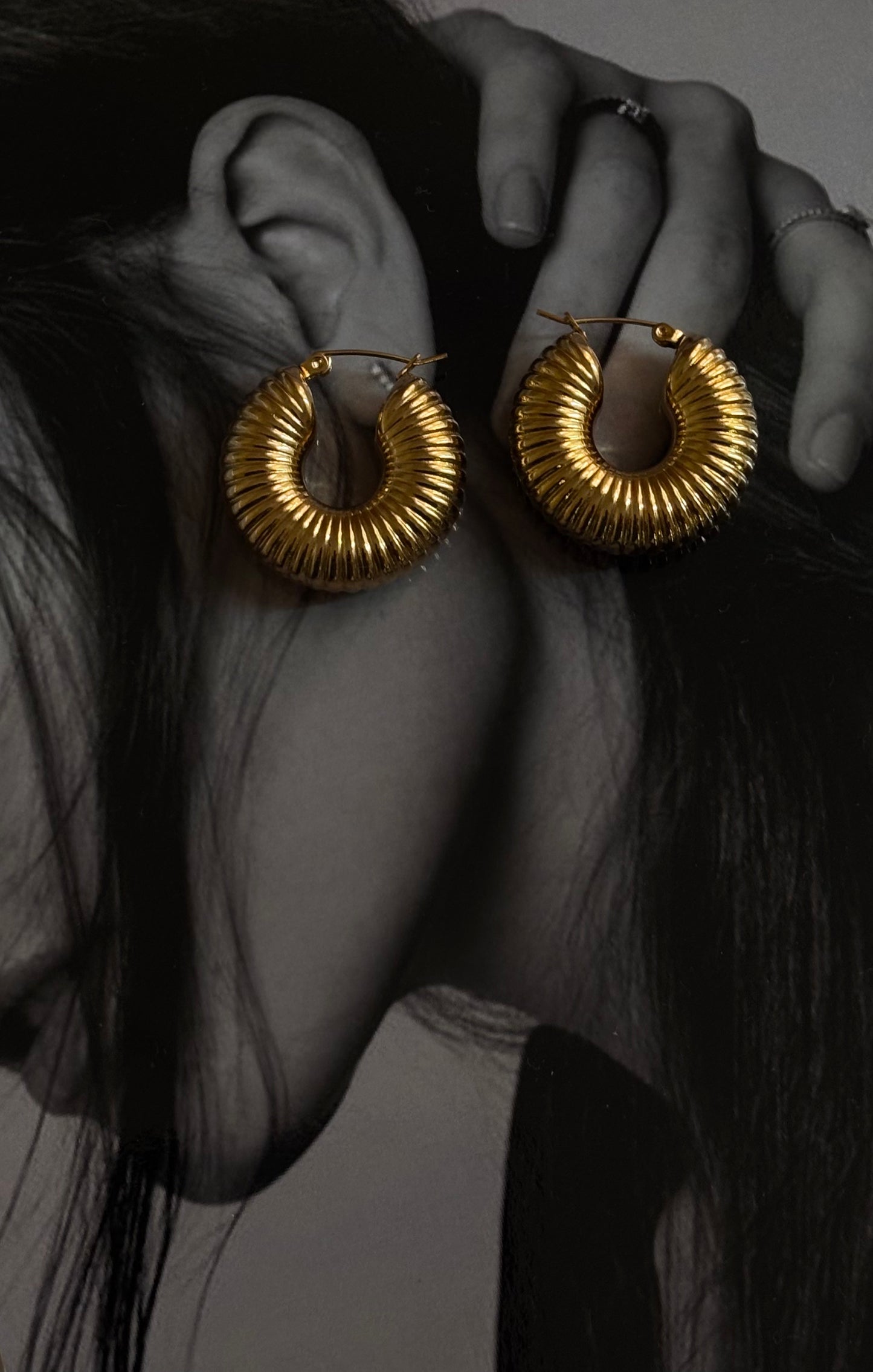 Snail Chunky Hoops